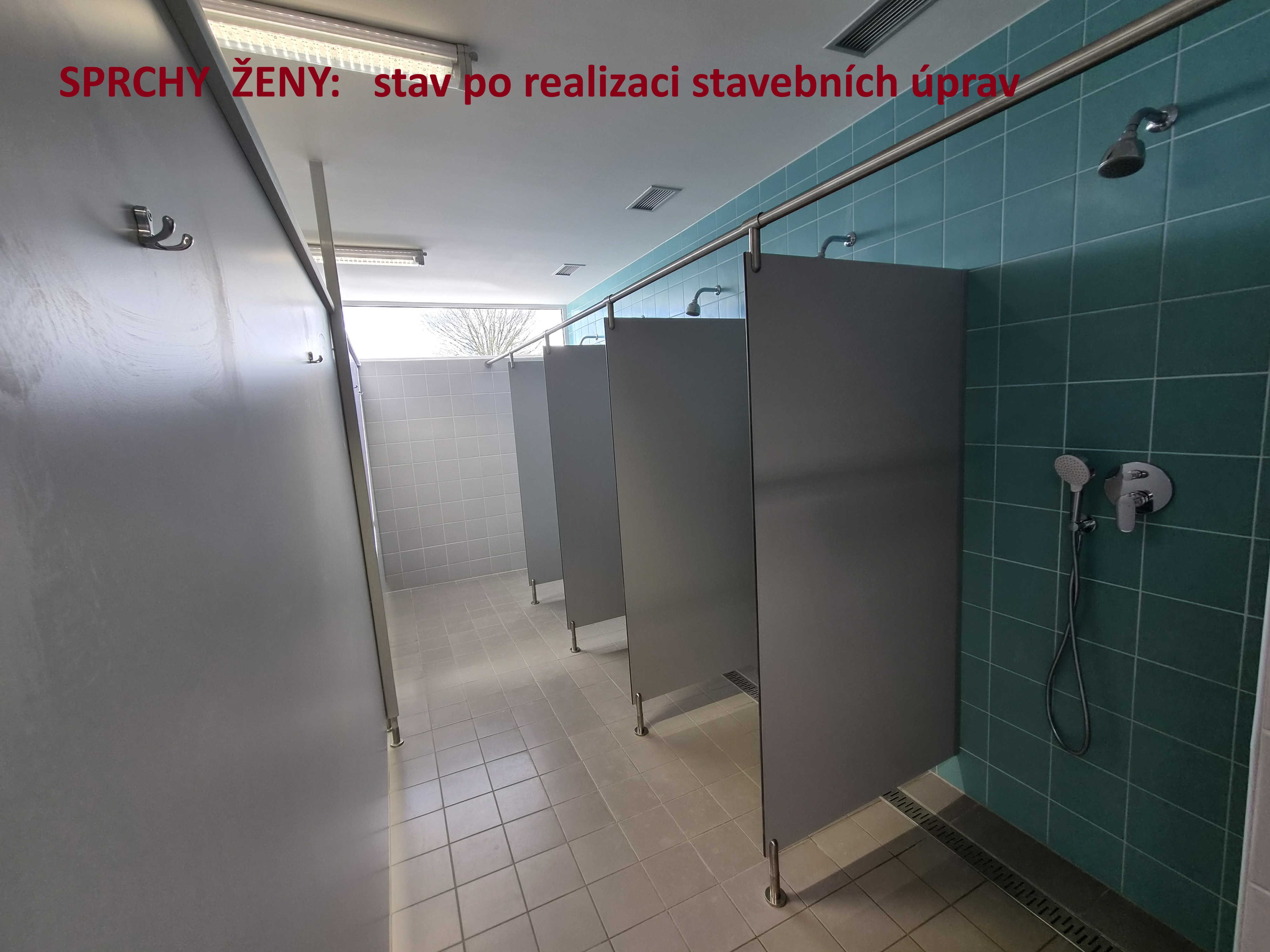 Foto Krivolik PO