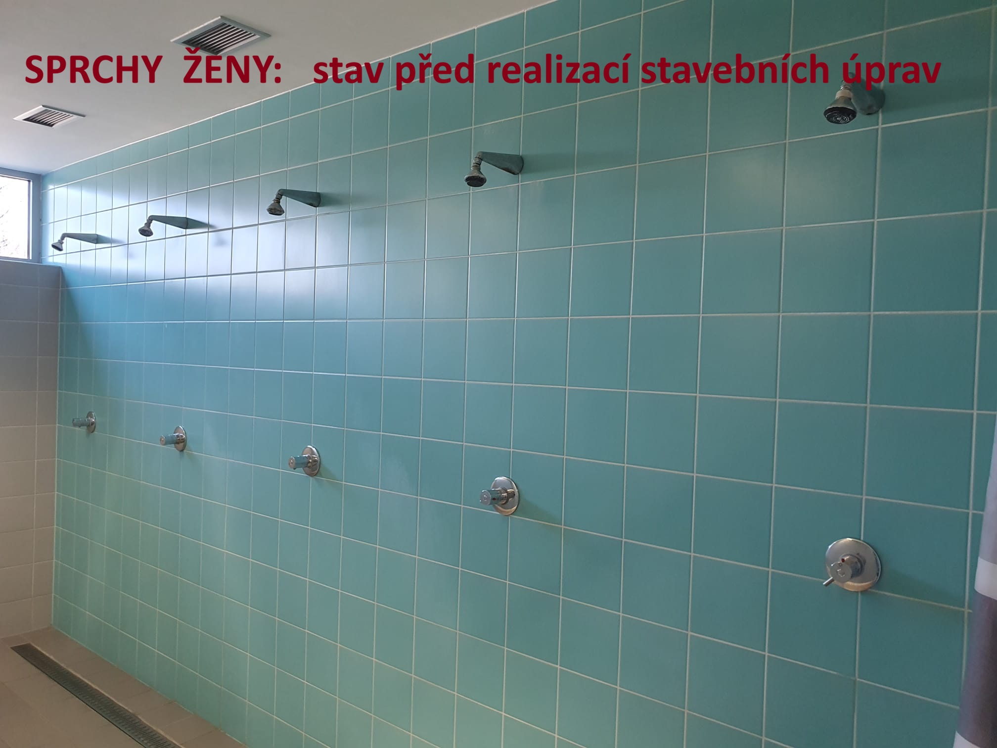 Foto Krivolik PRED