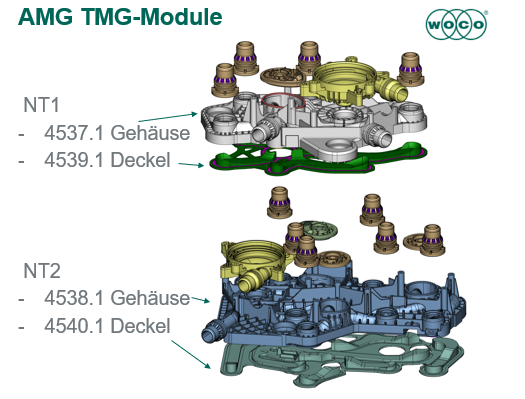TMG Module